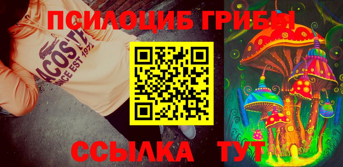 Галлюциногенные грибы MAGIC MUSHROOMS Малоярославец