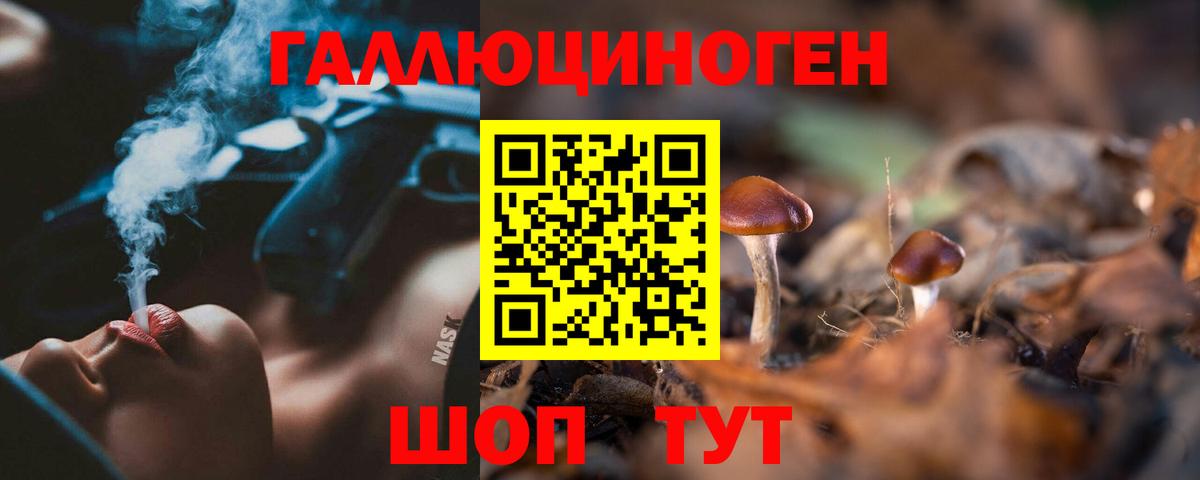 Малоярославец  Галлюциногенные грибы Psilocybe  Вход с VPN 